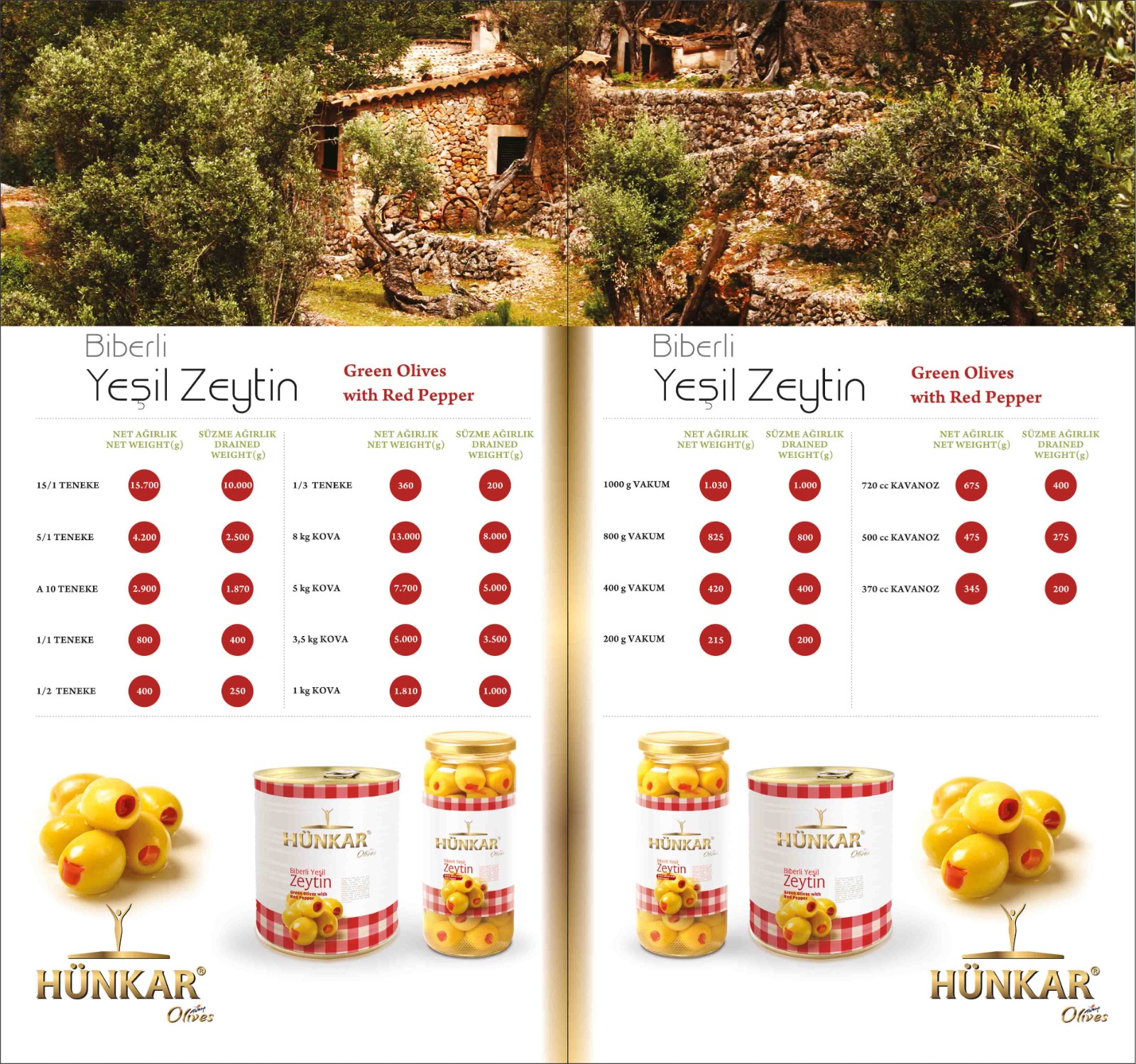 Biberli Yeşil Zeytin Kataloğu