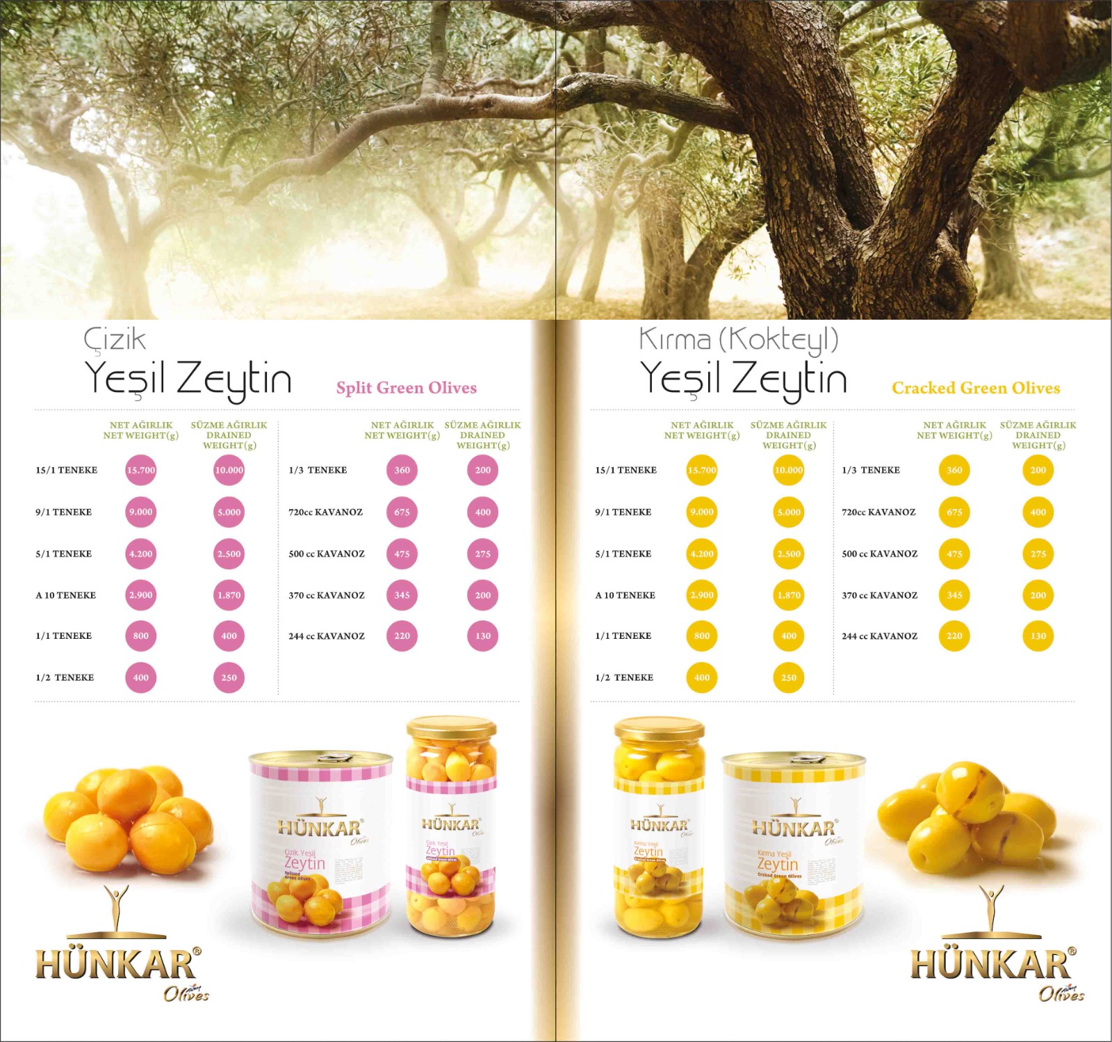 Çizik ve Kırma Yeşil Zeytin Kataloğu
